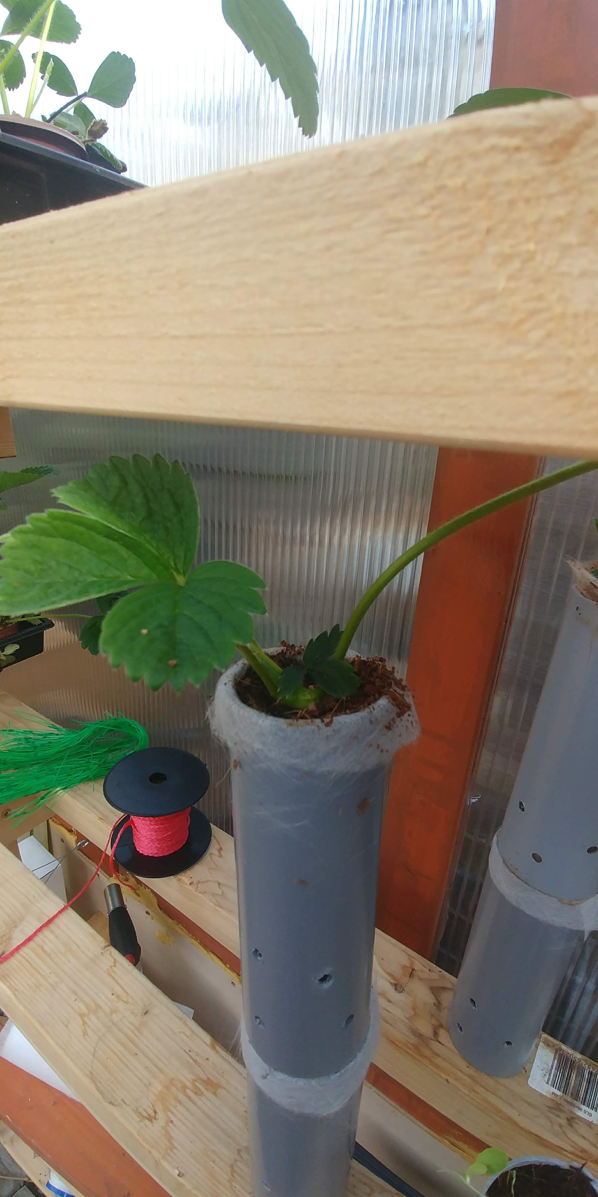 20180522_081345.jpg