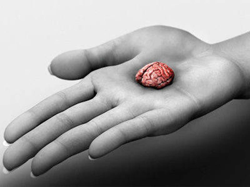 brain in hand.jpg