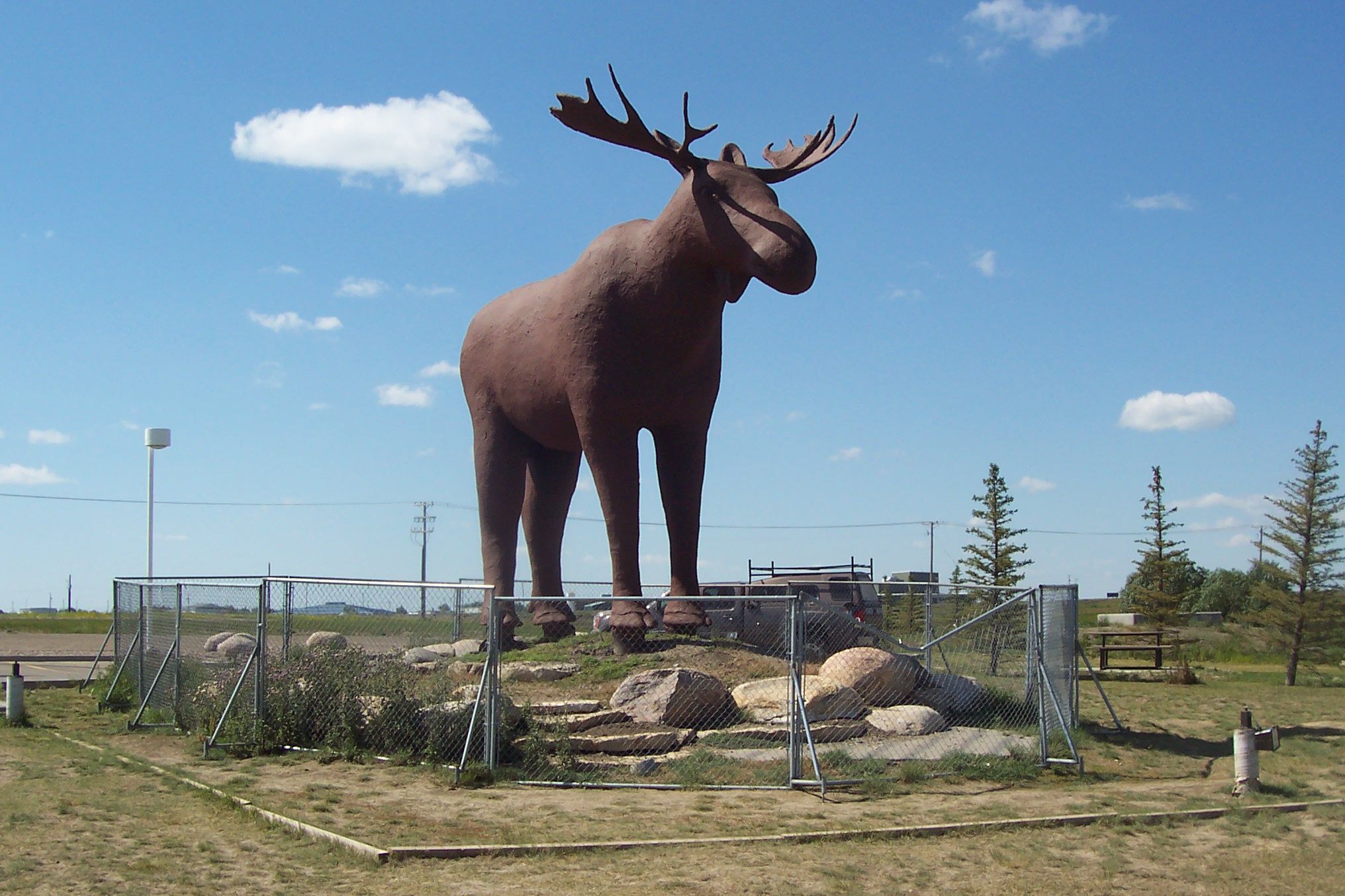 biggest moose