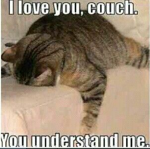 couchlove.jpg