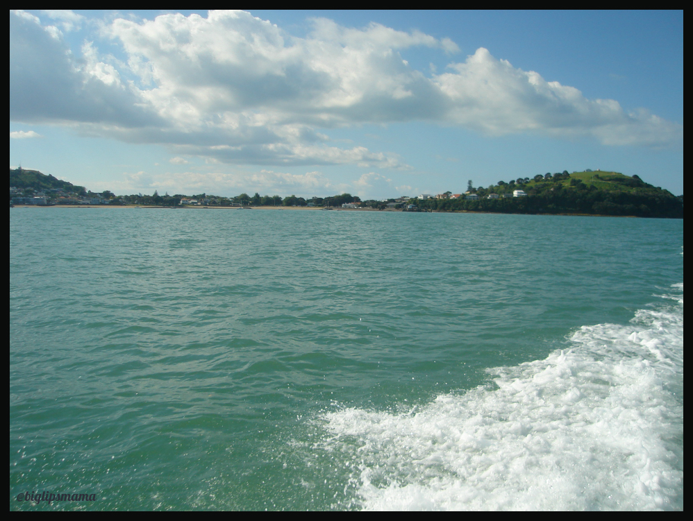 auckland sea5.jpg