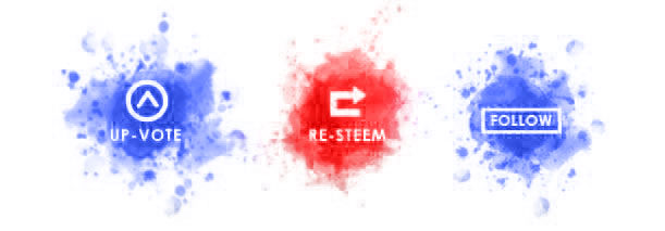 Steem Tail.jpeg