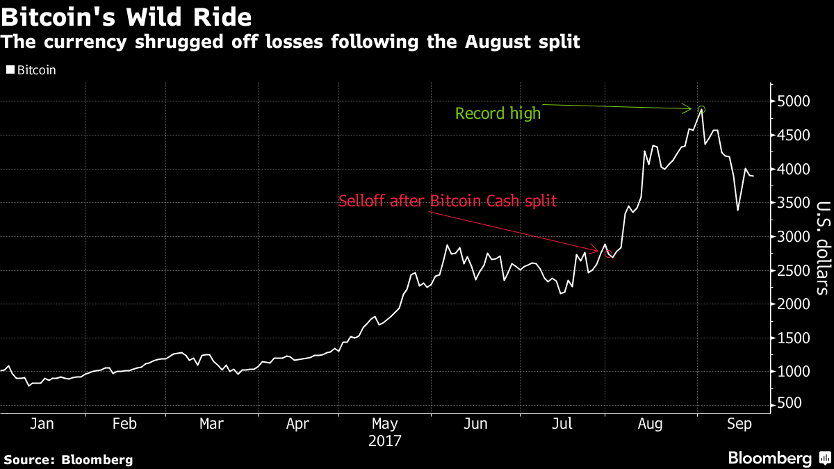 bitcoin split november