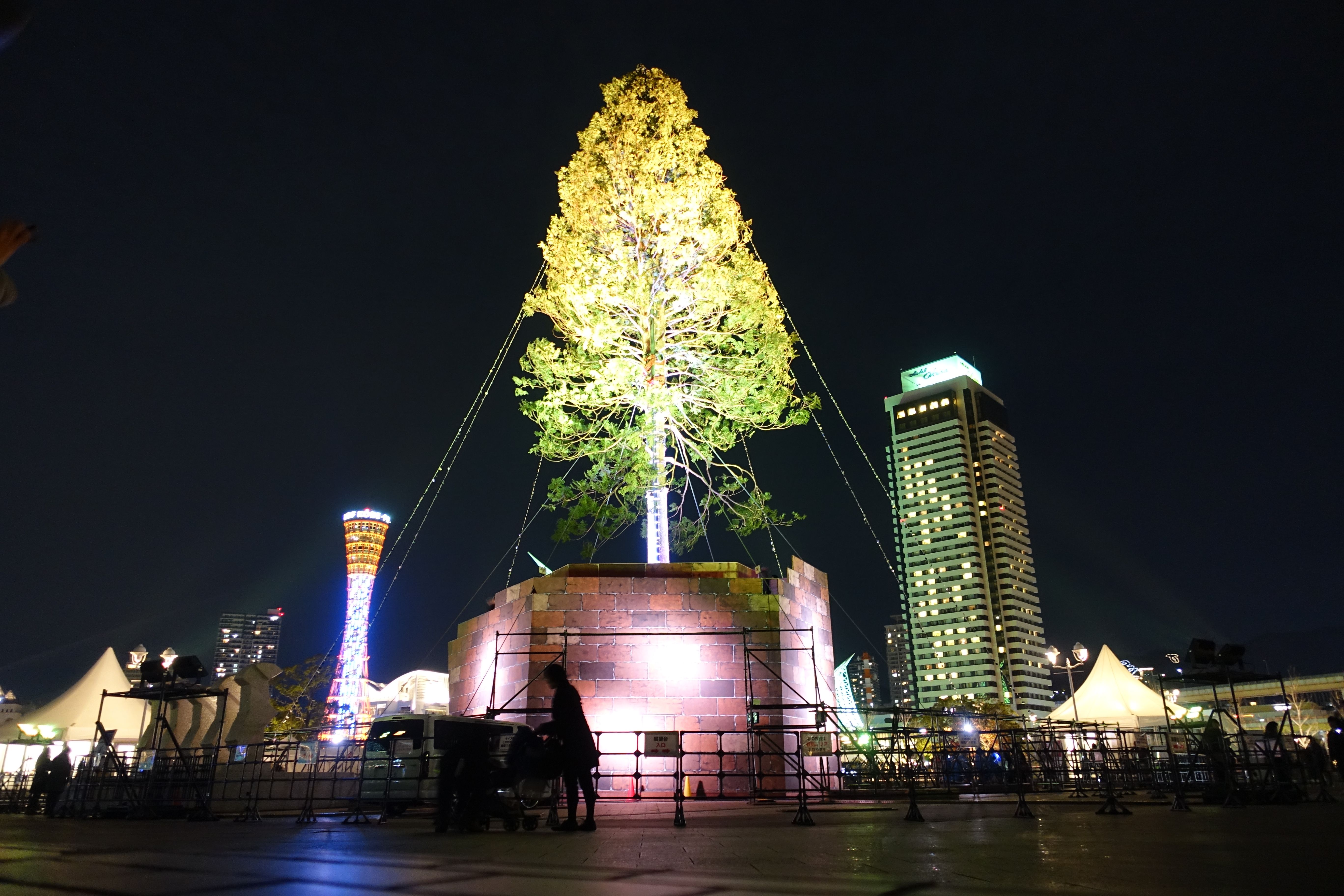 Worlds Largest Christmas Tree