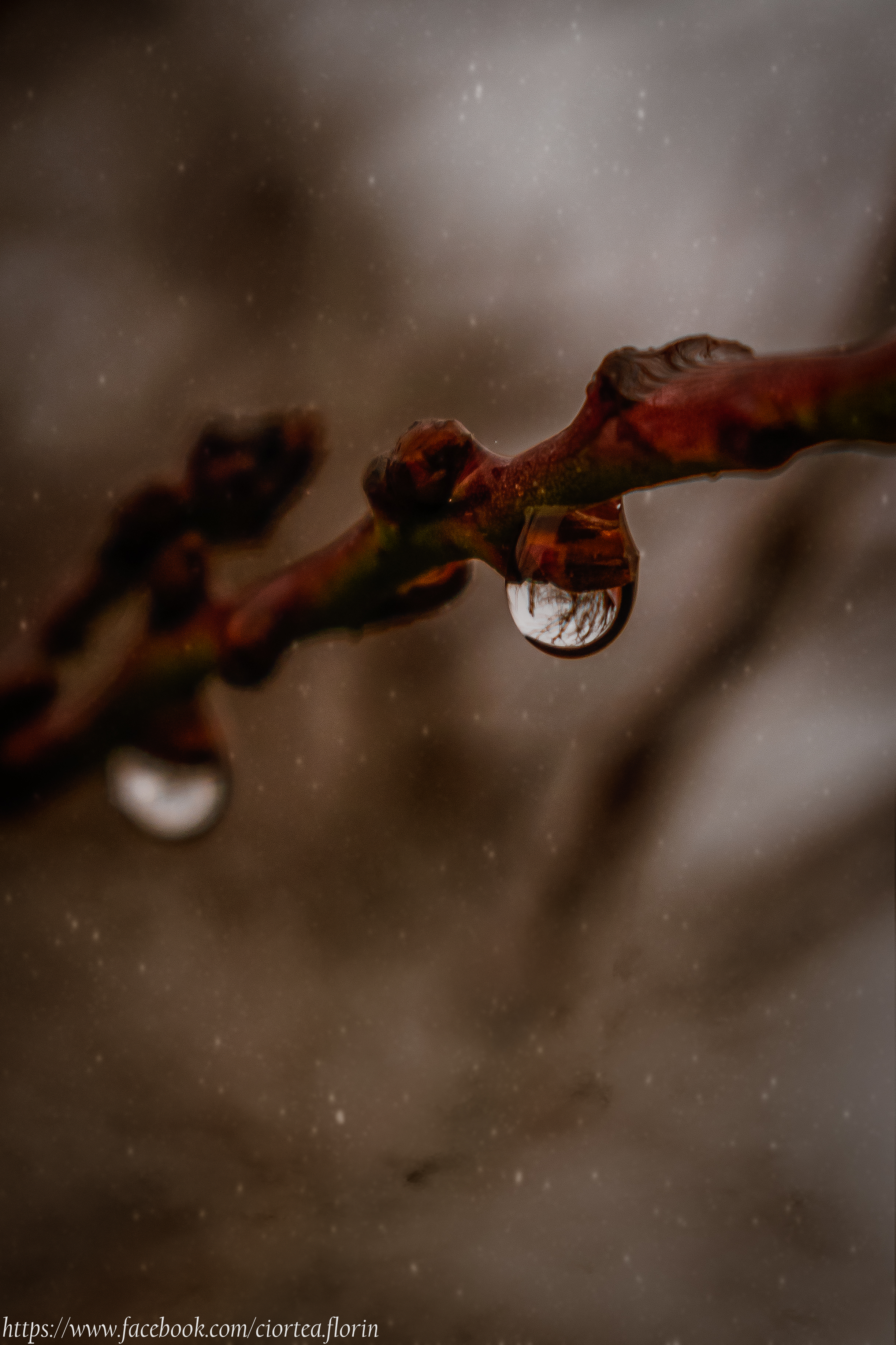 001-Edit.jpg