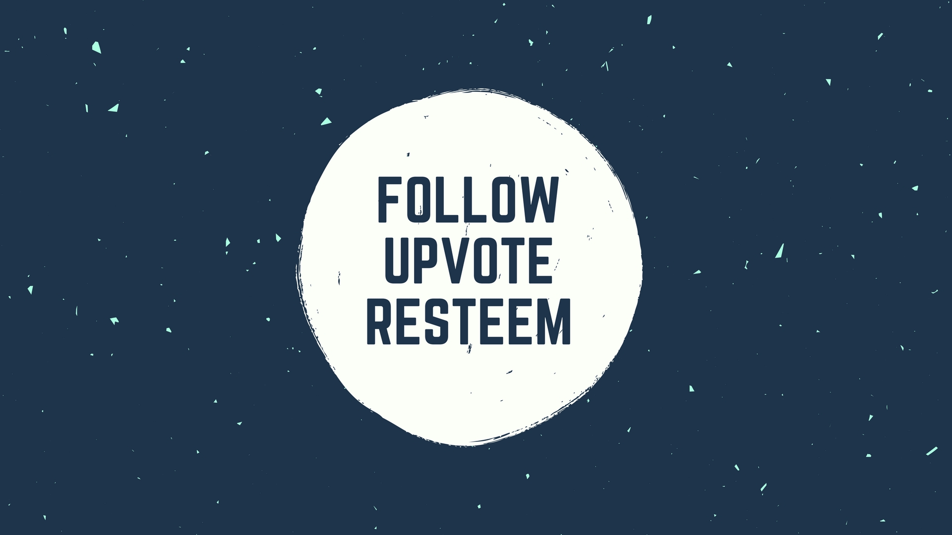 FOLLOWUPVOTERESTEEM1.jpg