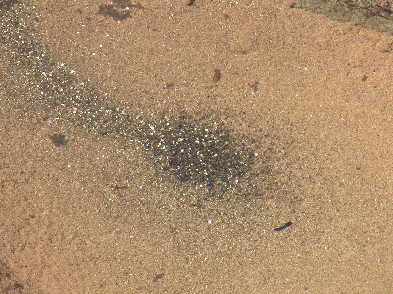 IMGA1316.JPG