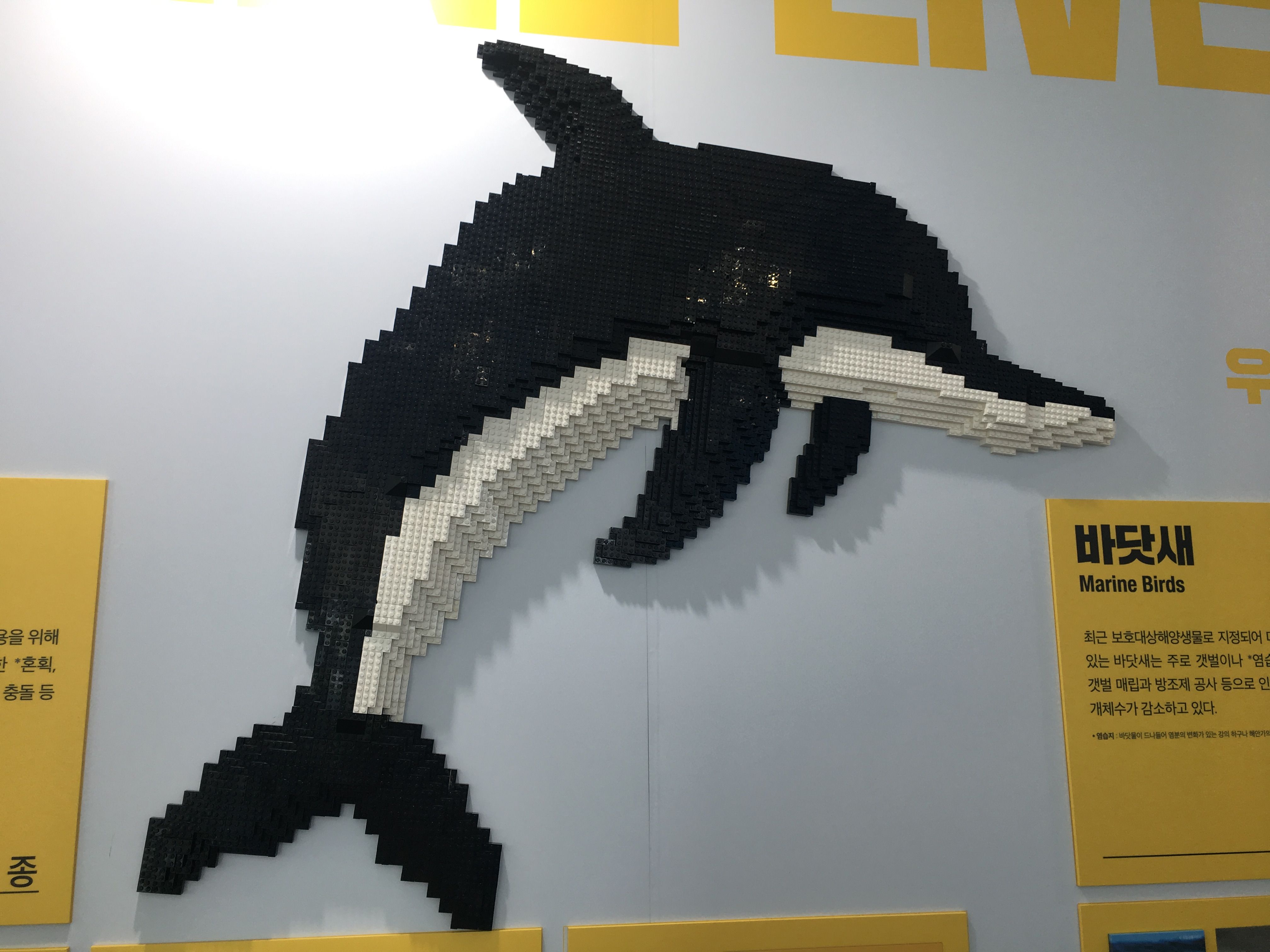 서천에 레고 고래 ( lego whale)가 있다.