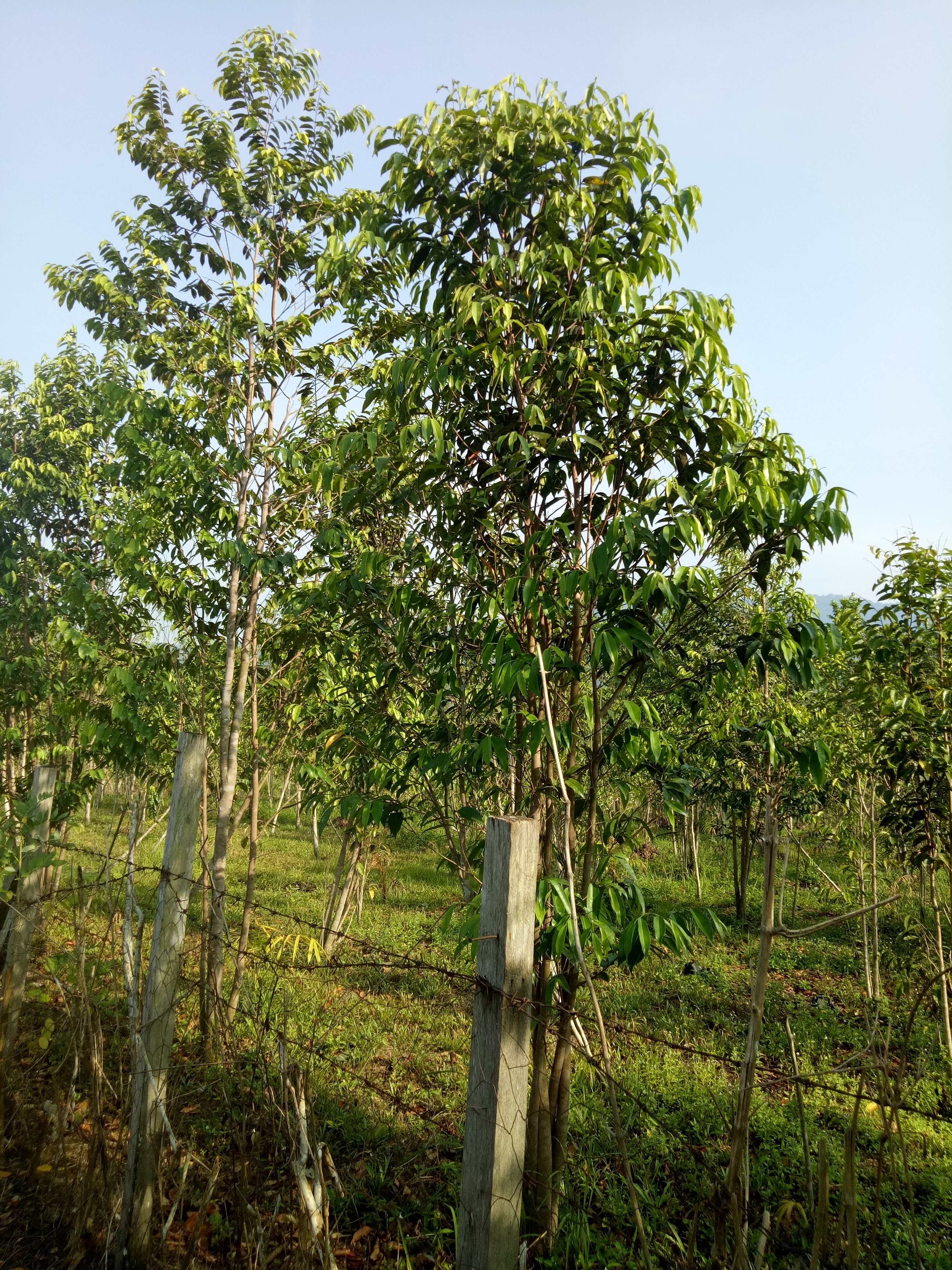IMG20180407085141.jpg