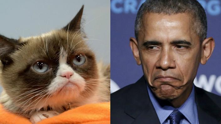 obamacat.jpg