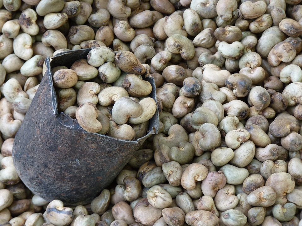 cashew-nut-52064_960_720.jpg