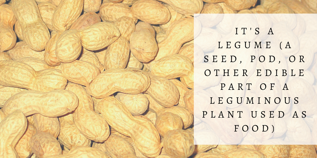 Green and Yellow Photo Quotes Fall Twitter Post (17).png