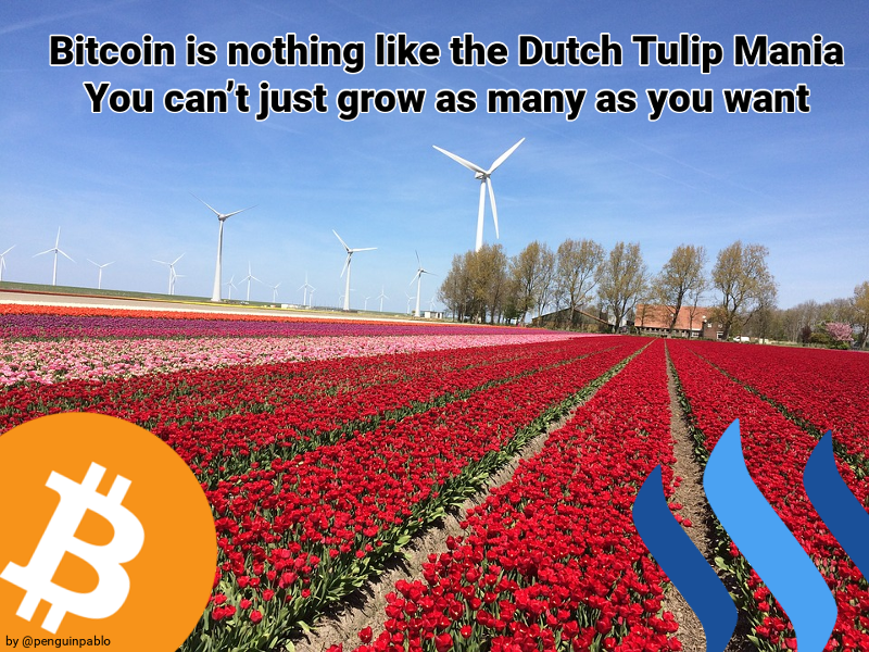 BitcoinTulipMania.png