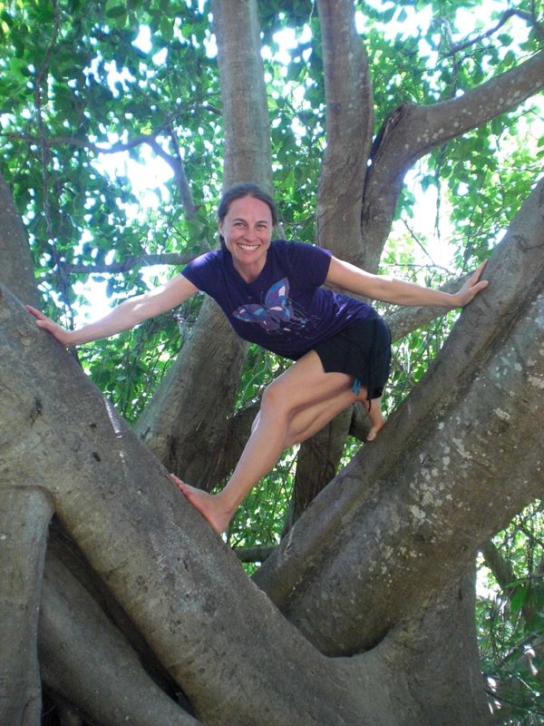 me in a tree