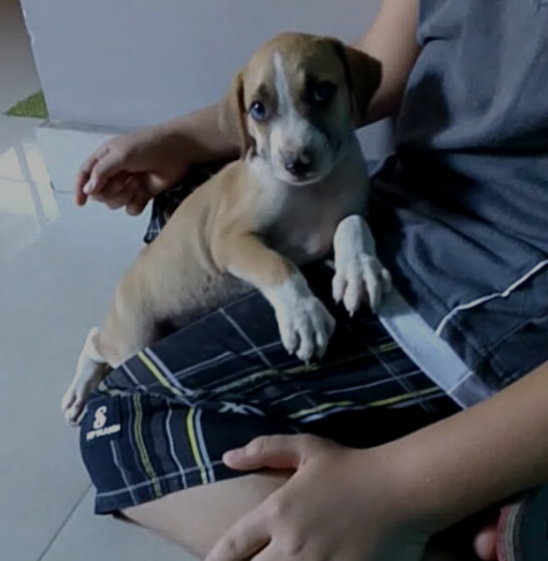 Toby tobyelduro • Instagram photos and videos(1).png