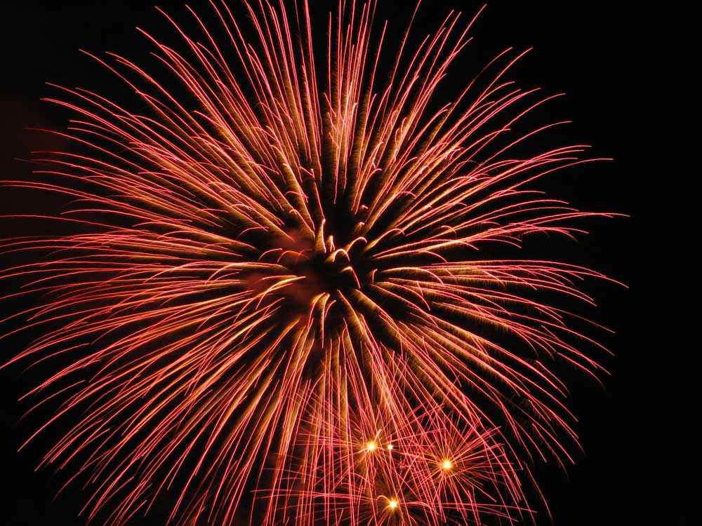 fireworks celebrate celebration.jpg