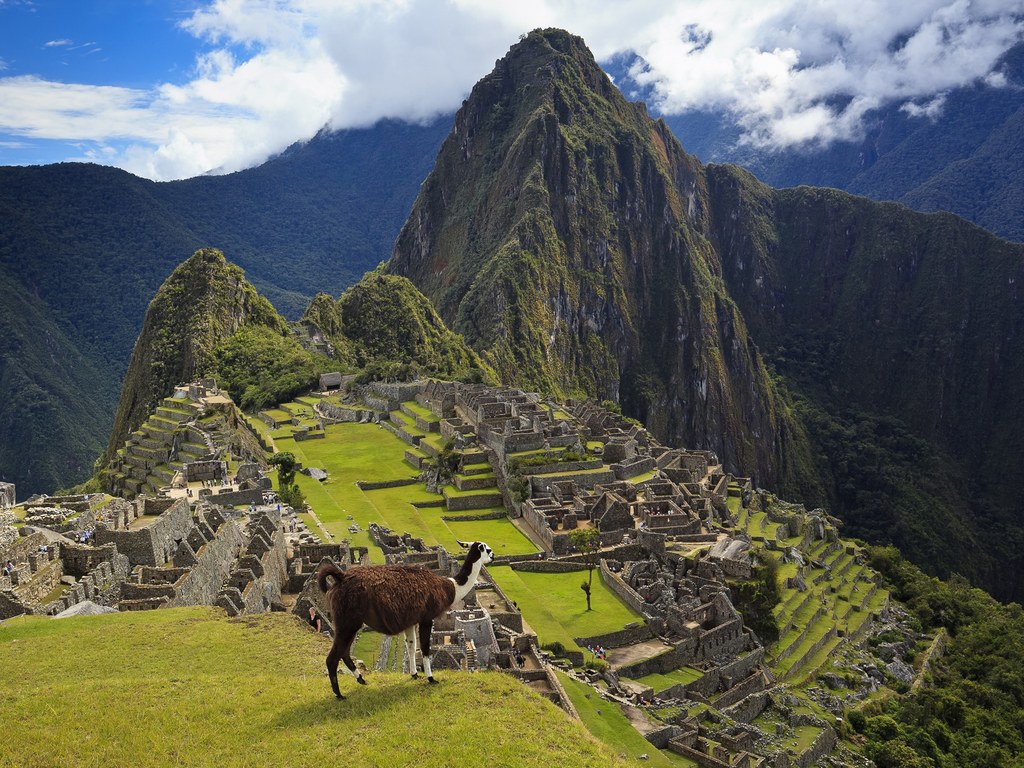 machu-picchu-llama-overlord-cr-getty - Copy.jpg