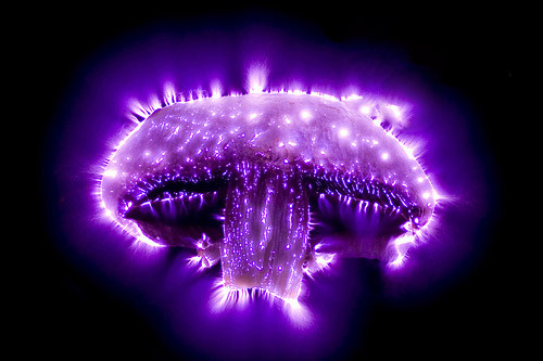 KIRLIAN-1.png