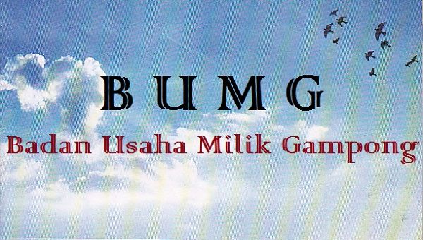 BUMDES-BUMG-GAMPONG.jpg