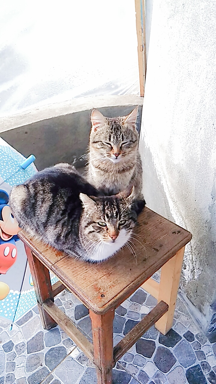 IMG-20180405-WA0014.jpg