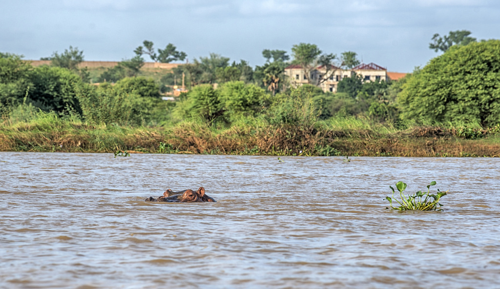 river niger.jpg