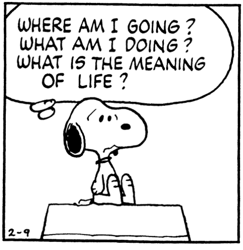 snoopy-what-is-the-meaning-of-life.png