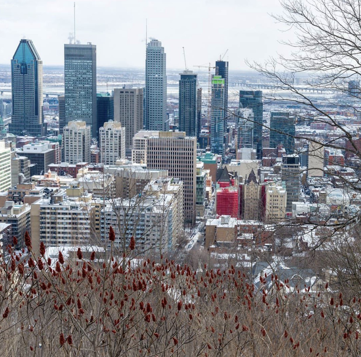 montreal view.jpg