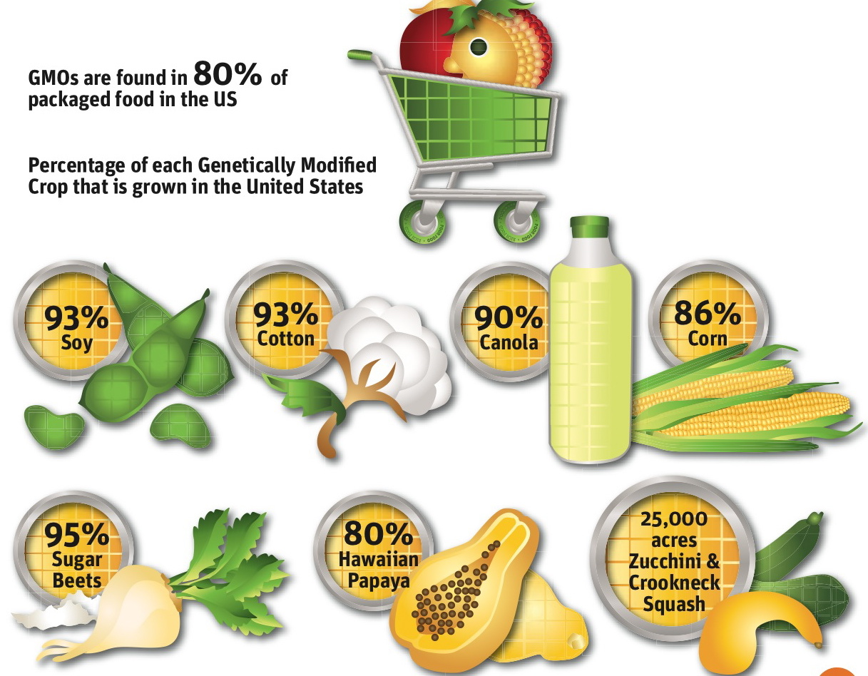 gmos-percentages-monsanto.jpeg