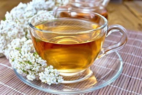 yarrow flower for Diabetes.jpg