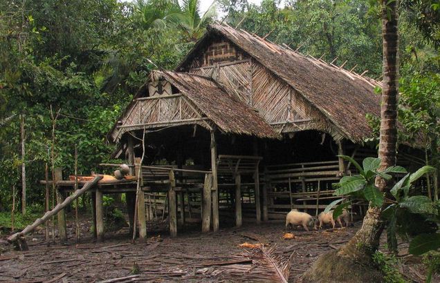 Uma, rumah ada suku mentawai - sumatera barat.JPG