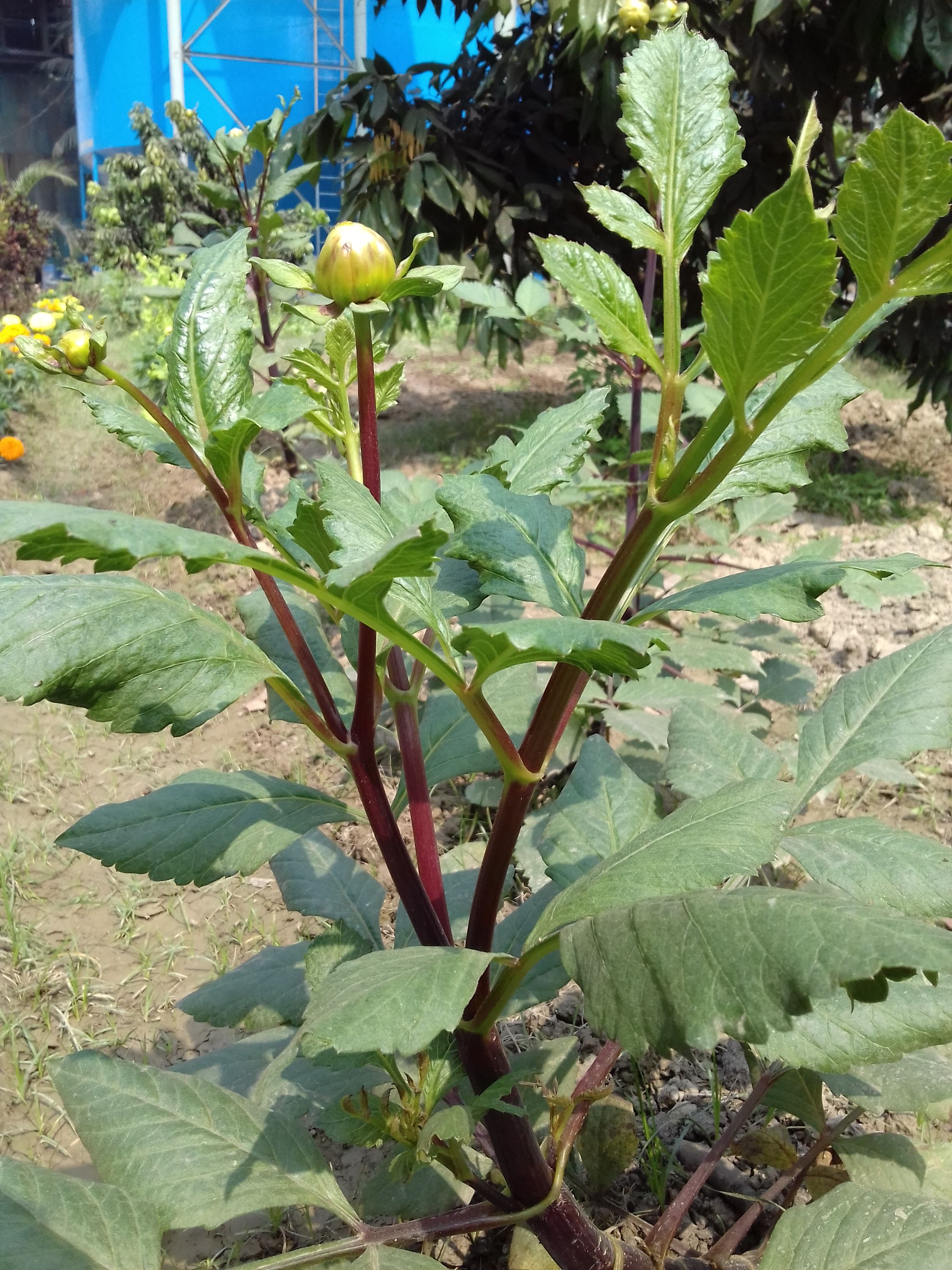 20180209_111302.jpg