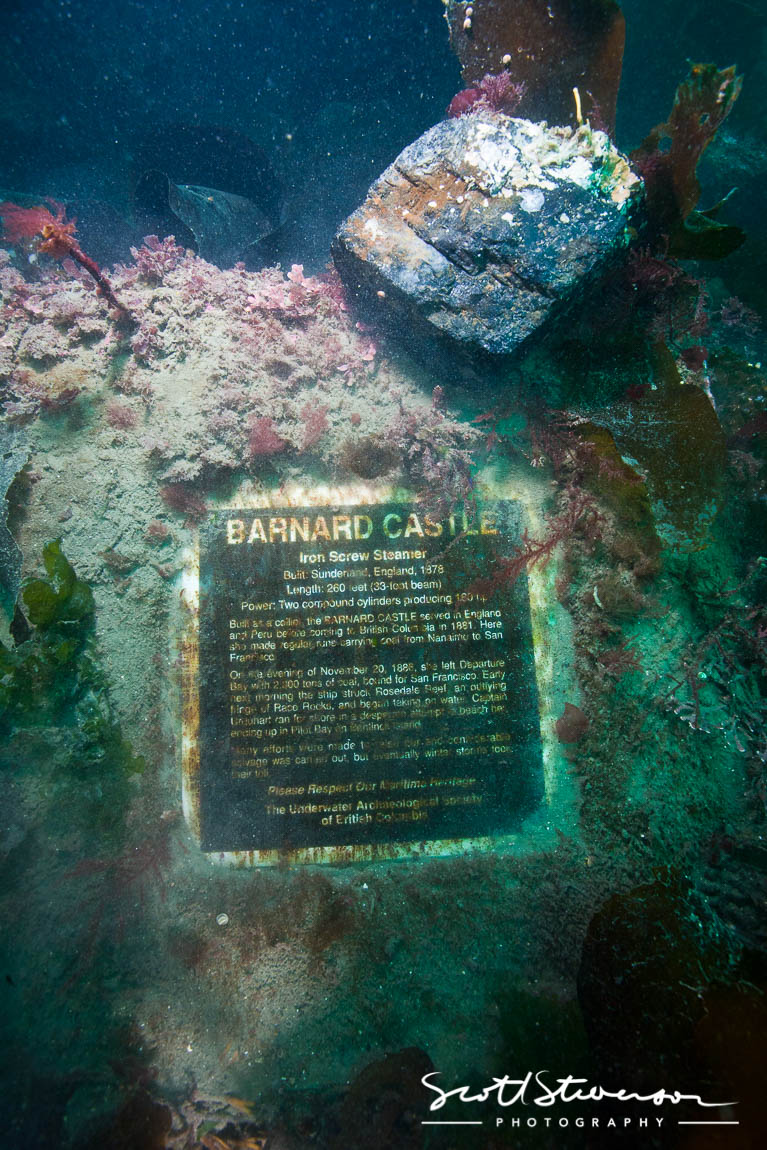 Barnard Castle Shipwreck-2.jpg