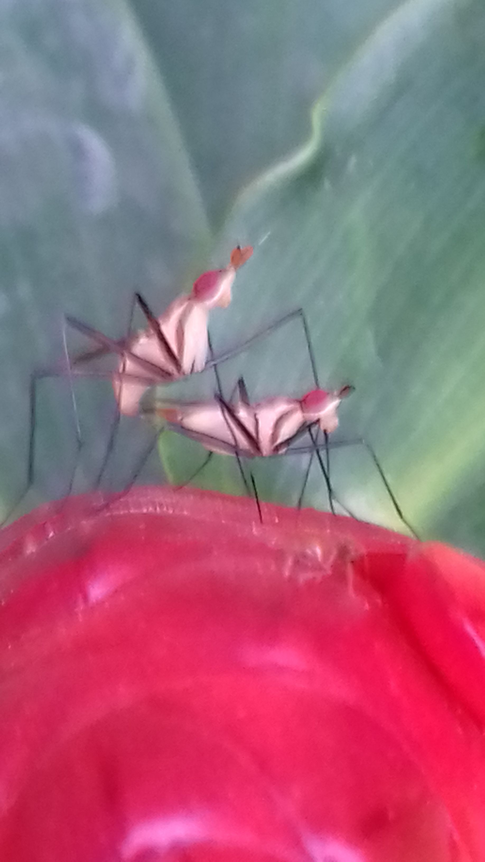 20180207_181331.jpg
