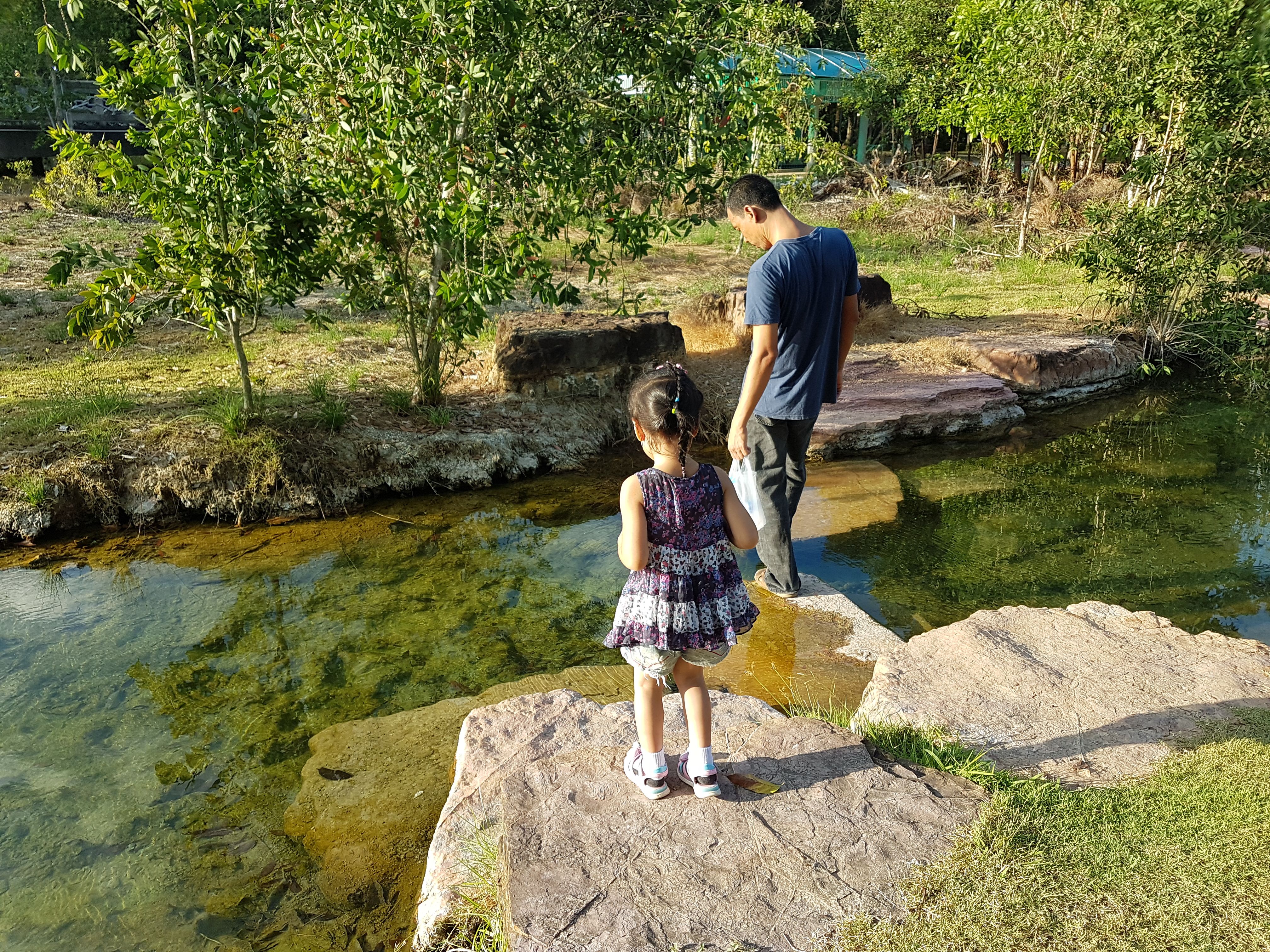 20180307_172614.jpg