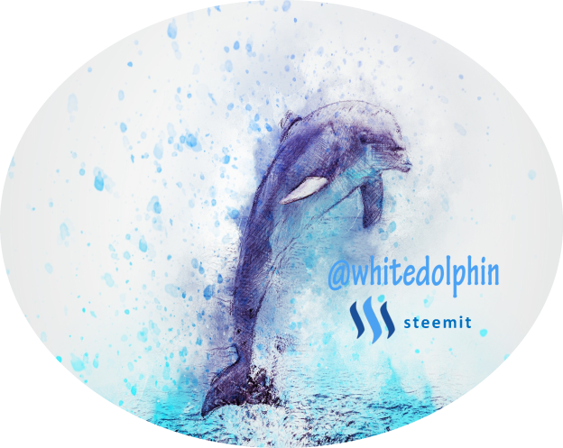 whitedolphin logo steemit final1.png