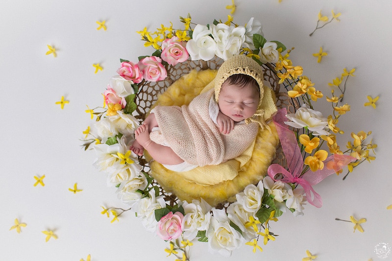 newborn-photos-nature-mandalas-6.jpg