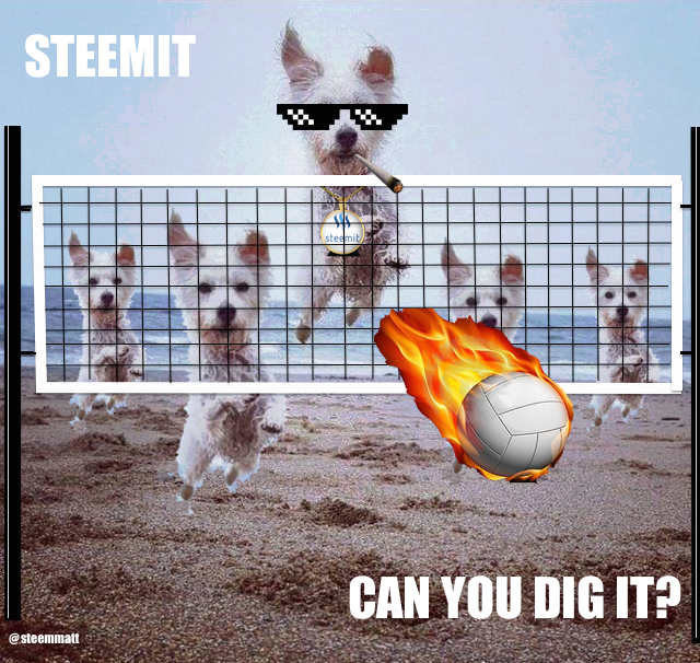 Steemit Meme Submission #40.png