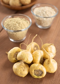 maca-root-and-bowls-of-maca-root-powder.jpg