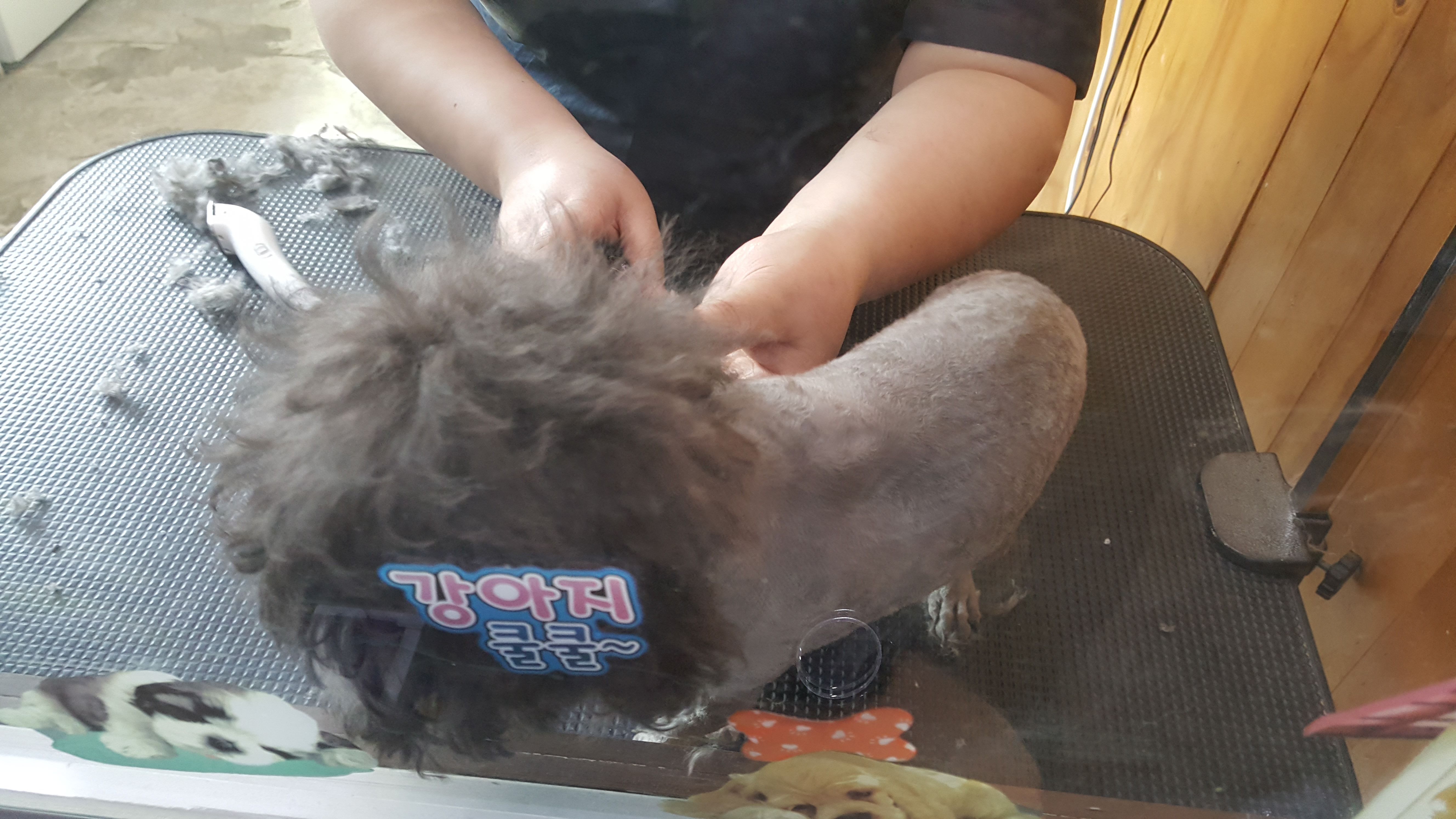 20180317_135231.jpg