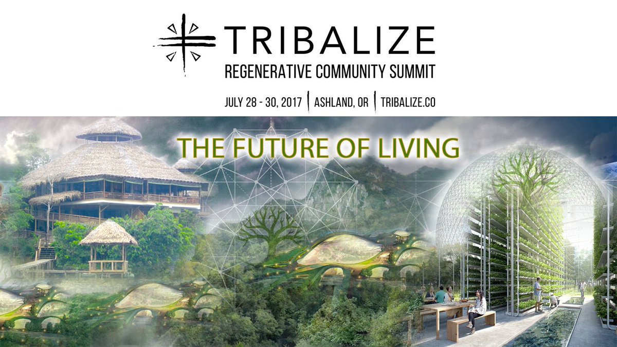 tribalize.jpg
