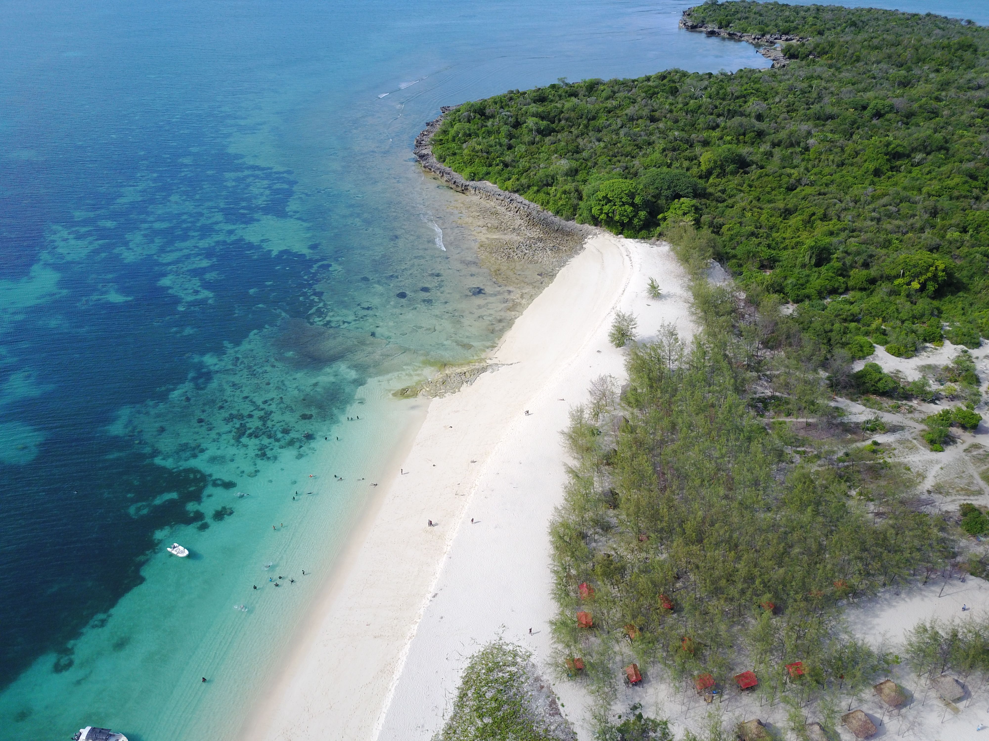 An island off the coast. Танзания побережье. Остров Чангу Танзания. Mbudya Island.