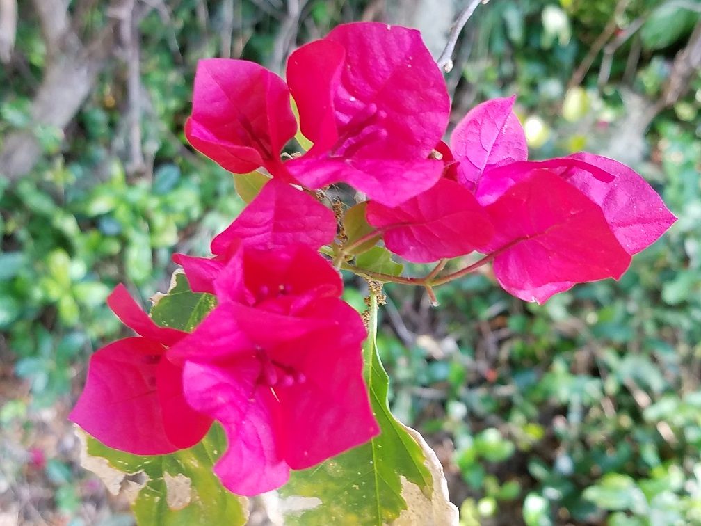 20180319_170249.jpg
