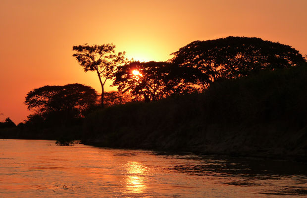 Llanos Venezolanos