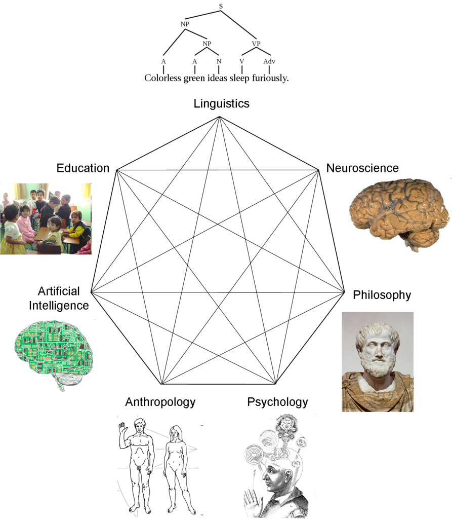 893px-CognitiveScienceSeptagram.png