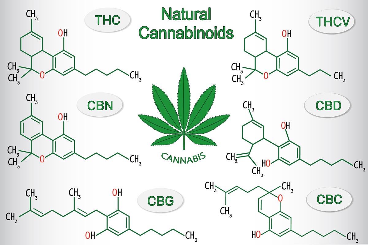 top-10-cannabinoids-and-what-they-do.jpg