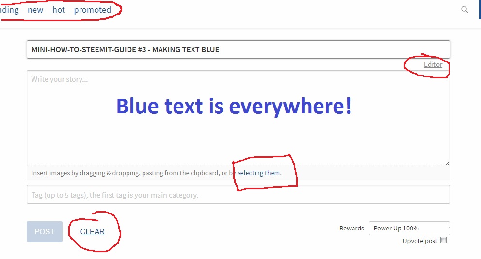 marked blue text.jpg