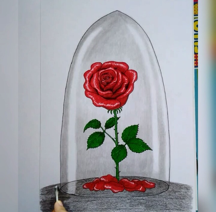 beauty and the beast rose drawings