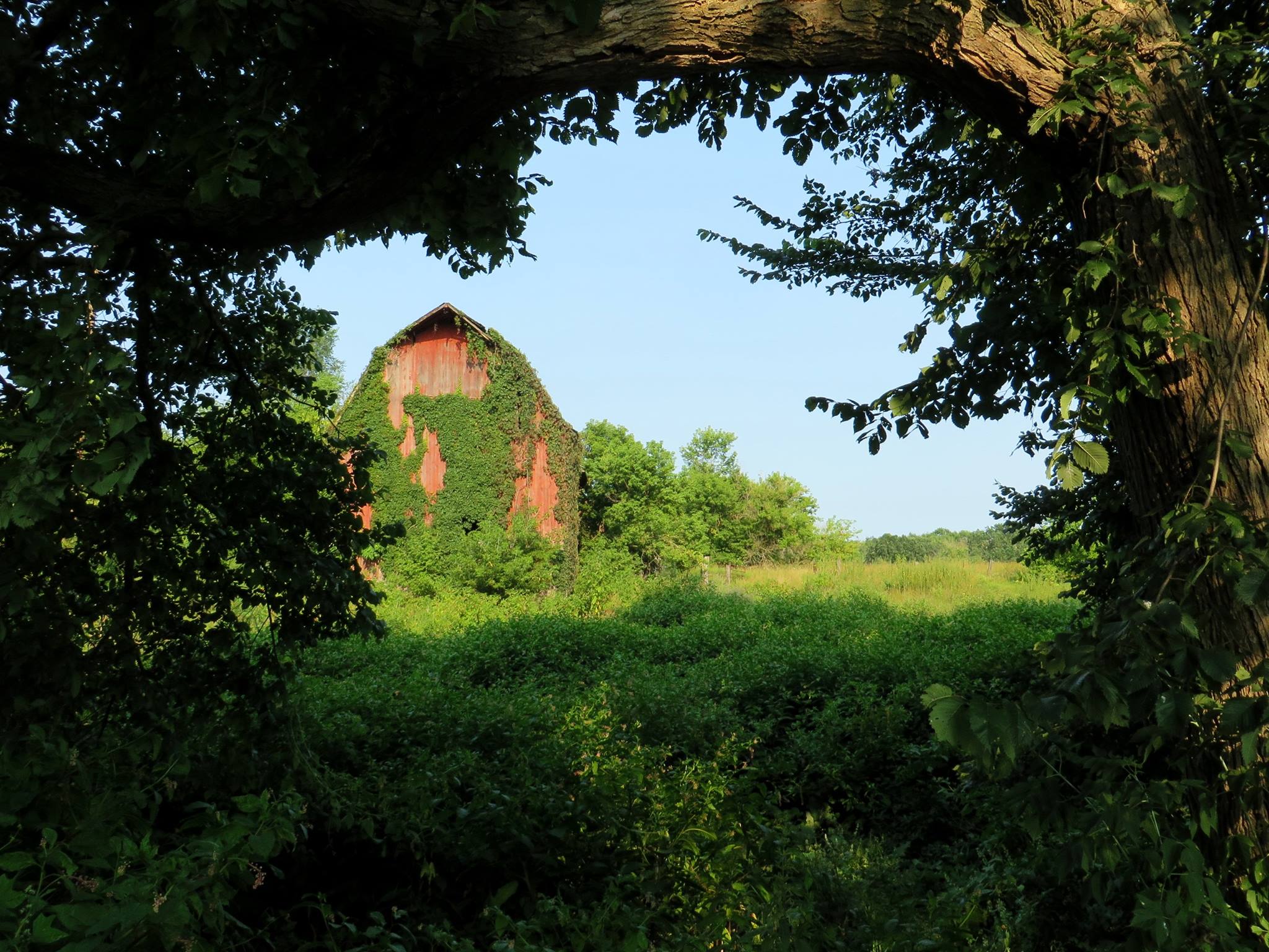 Michigan barn.jpg