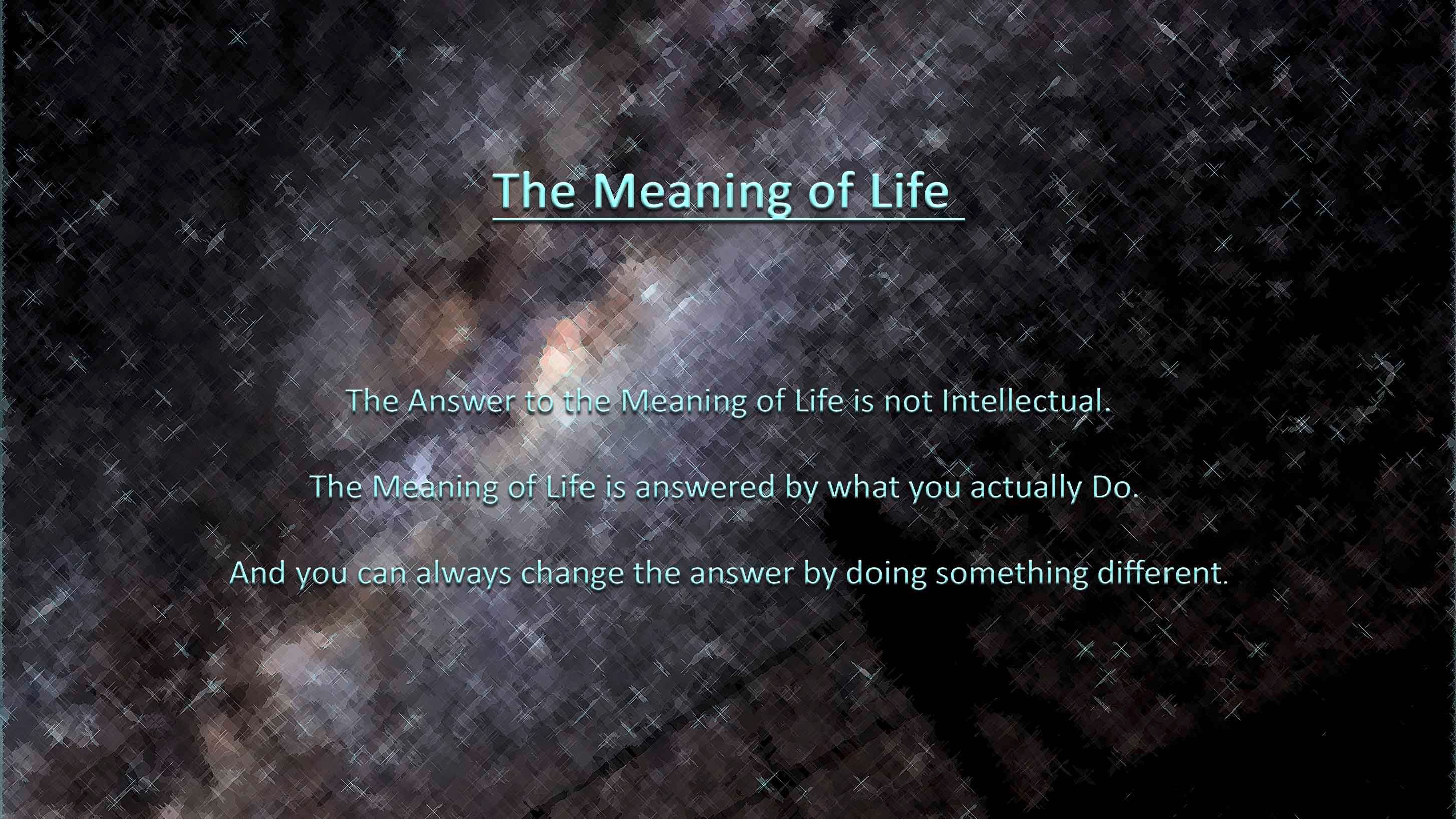 The Meaning of Life  - Final Small.jpg