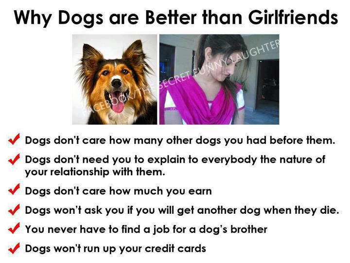 GF VS Dog.jpg